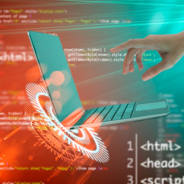 Website Management Officer
